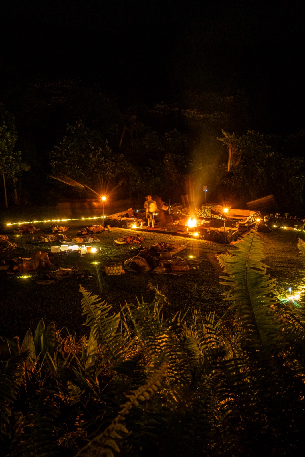 Guiding the journey from beside the fire, seen through the ferns